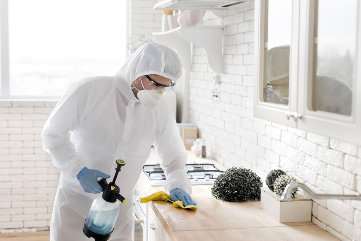 cockroach infestation treatment