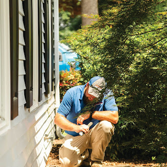 Pest Control services
