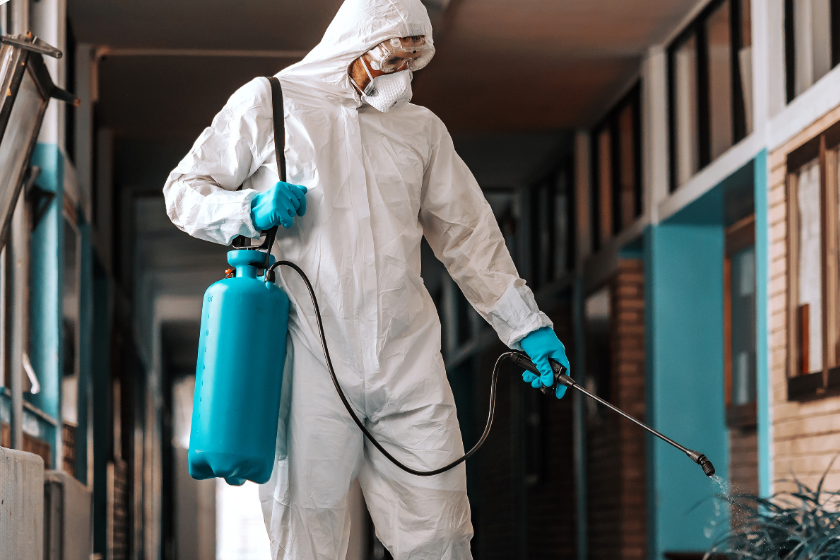 Comprehensive Pest Management Services