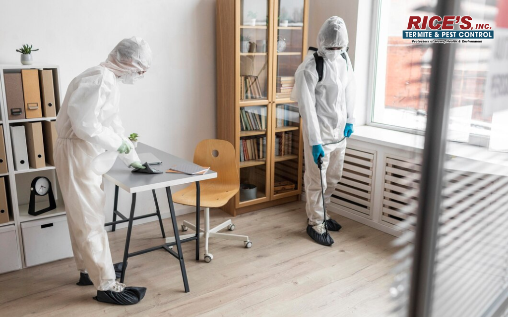 pest control professionals