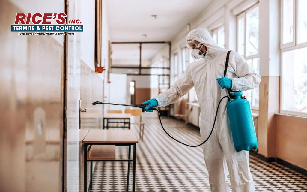 mosquito pest control
